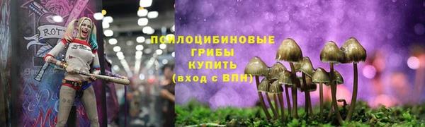 ешки Гусь-Хрустальный