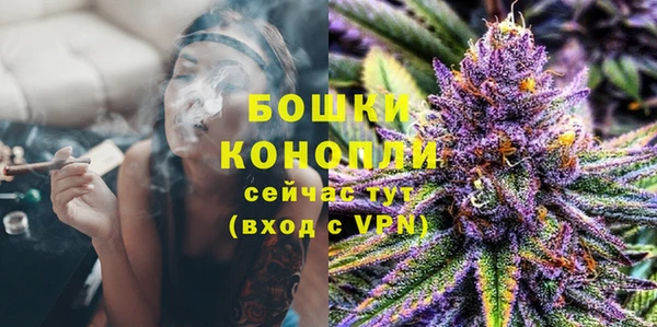 ешки Гусь-Хрустальный