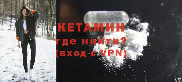 индика Гусев