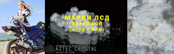 индика Гусев