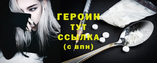 индика Гусев