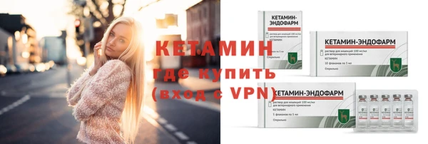 индика Гусев