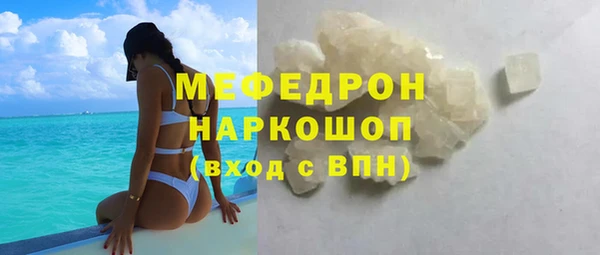 индика Гусев