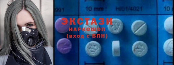 индика Гусев
