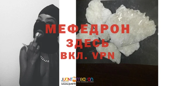 индика Гусев
