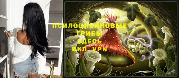 ешки Гусь-Хрустальный