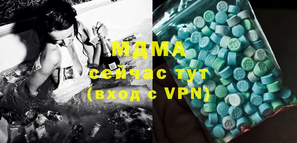 индика Гусев