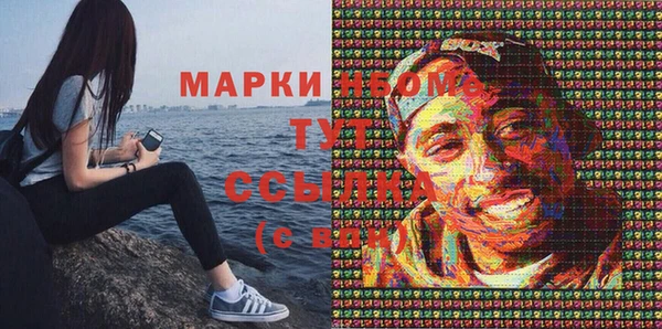 ешки Гусь-Хрустальный