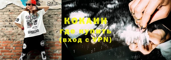 ешки Гусь-Хрустальный