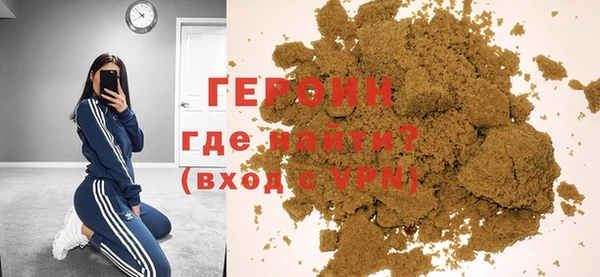 индика Гусев