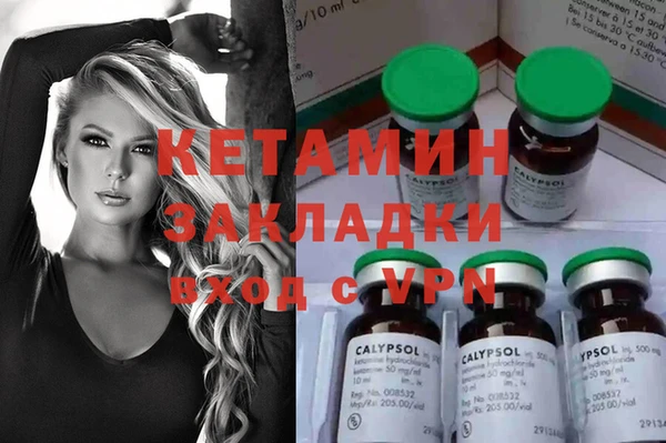 индика Гусев