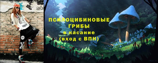 ешки Гусь-Хрустальный