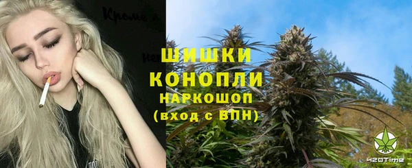 индика Гусев
