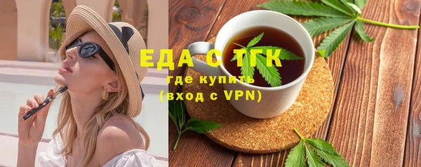 индика Гусев