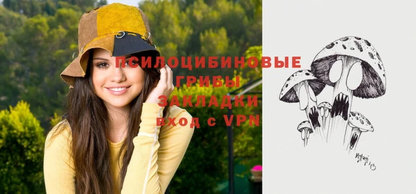 ешки Гусь-Хрустальный