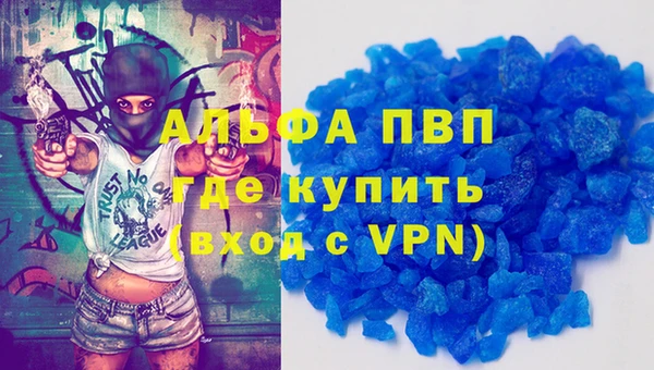 индика Гусев