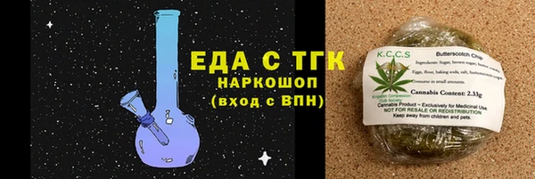 индика Гусев