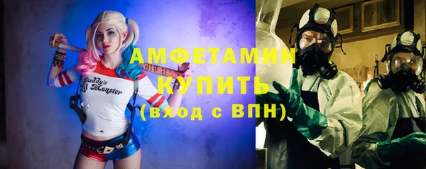 индика Гусев