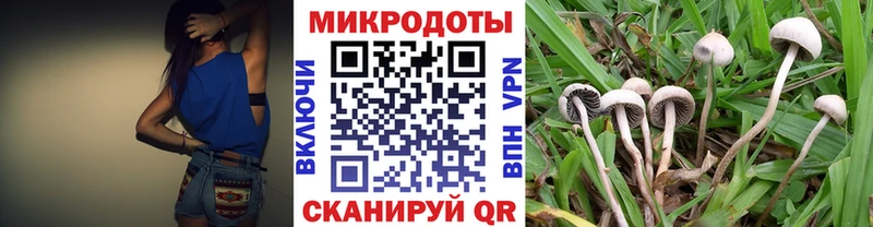 Купить где Остров Галлюциногенные грибы MAGIC MUSHROOMS